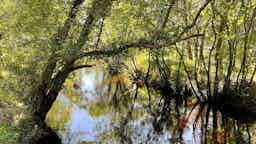 Little Manatee River Corridor Nature Preserve - Leonard Lee Trailhead