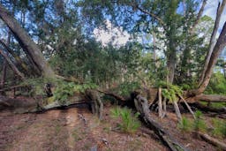 Split Oak Forest Wildlife and Environmental Area