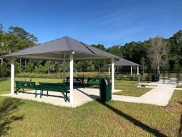New Tampa Dog Park