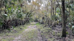 Alafia River Corridor Nature Preserve South