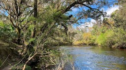 Fish Hawk Creek Nature Preserve North
